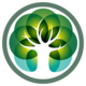 Master Tree Academy