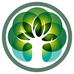 Master Tree Academy