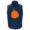 Men's USA-Made Full-Zip Fleece Vest Thumbnail