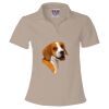 Women's USA-Made V-Neck Polo Thumbnail
