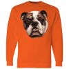 Unisex USA-Made Crewneck Sweatshirt Thumbnail