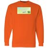 Unisex USA-Made Crewneck Sweatshirt Thumbnail