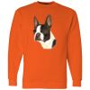 Unisex USA-Made Crewneck Sweatshirt Thumbnail