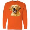 Unisex USA-Made Crewneck Sweatshirt Thumbnail